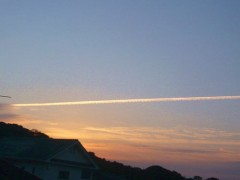 【お題日記】タバコ好き？嫌い？