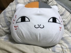 【お題日記】集めてる物ありますか？