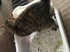 起きたら、、、、