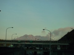 今日は、日差しが暖かでした。