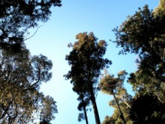 天気が良くて･･･。