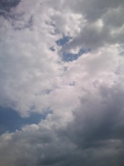 明日から、出張です