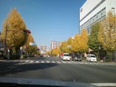 熊本に行った日