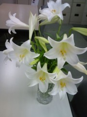 今日は、雨なので仕事でした。