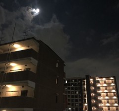 束縛しないなー