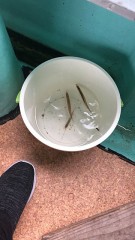 釣りで感動した！