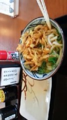 朝うどん