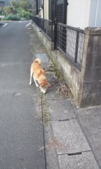 花火大会（思い出？）