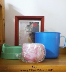 【お題日記】飼っていた動物おしえて♪　猫