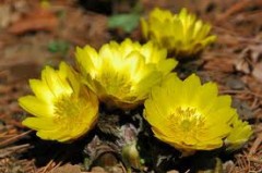 常識に外れし長き夏去りて…