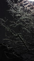 【お題日記】明日で世界が終わるなら何する？