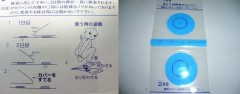 検便について