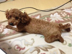 艶かしいオールヌード