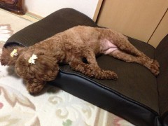 オモテにつづき、暑くない？