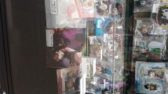 【お題日記】今スマホにこんな写真入ってます