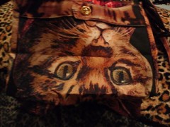 ムチャチャ←→あちゃちゅむ！