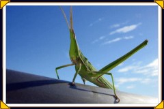 冬のミニスカはちょっとすーすーする♪～