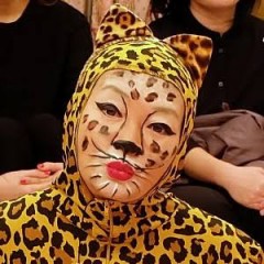 【お題日記】あなたは猫好きですか？