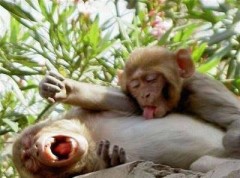 【お題日記】ギリ見せられるエッチな写真