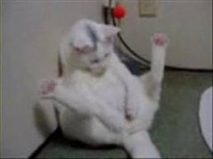 日曜の昼間から・・・。