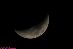 三日月が綺麗でした～♪