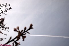 一直線に・・・・