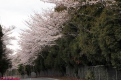 今日はなんだか変だぞ！