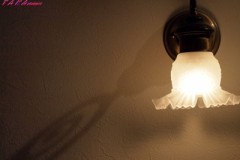 親子水入らず♪