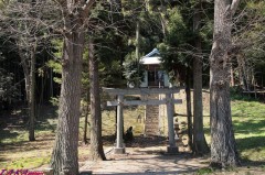 暇なのに忙しい・・・・！