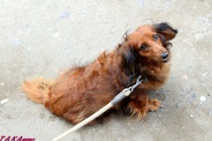 今週も終わった～♪