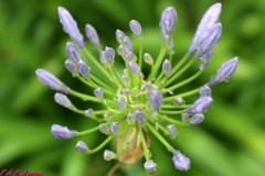 あと一息です。