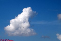 美味しそうな雲