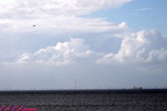 新しいレンズが欲しい！