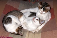 子供達です～(≧ω≦)