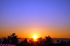 今日の朝焼け♪