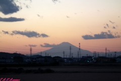 今日の富士山