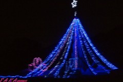 ライトアップされた公園