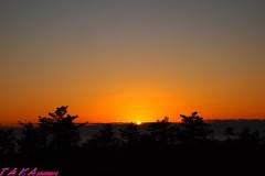 2012年、今年も宜しくお願い致します。