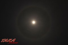 昨夜の月は・・・・