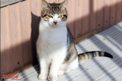 まだ名無しです～！