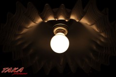 これでした～♪