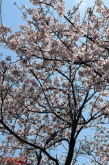 シーズンが終わりそう！