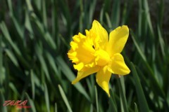 今日は朝から雨！