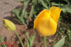 なんだか凄く疲れた～！