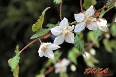 やっと休みです～♪