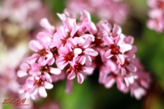 腕がパンパン！