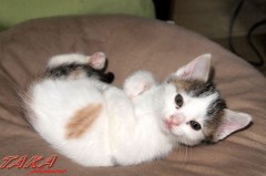 なんの変哲のない１日