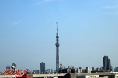 首都高からの景色