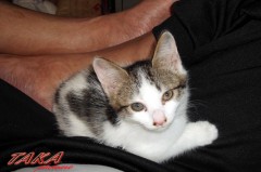 プレッシャー！