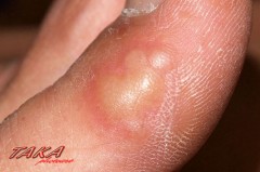 今年も出来ました！